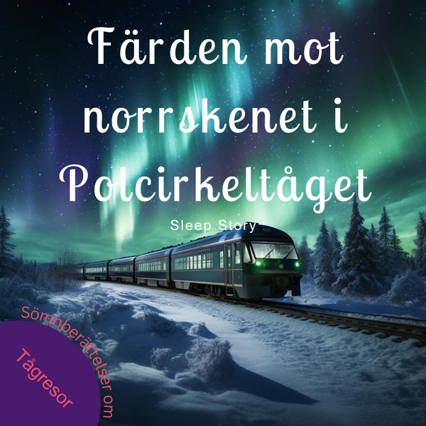Färden mot norrskenet i Polcirkeltåget