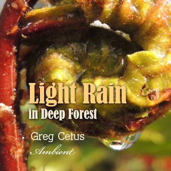 Light Rain in Deep Forest: Nature Sounds for Relaxation - Greg Cetus