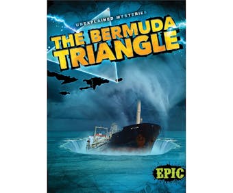 The Bermuda Triangle - undefined
