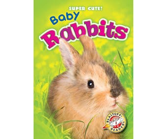 Baby Rabbits: Blastoff! Readers: Level 1 - undefined