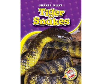 Tiger Snakes: Blastoff! Readers: Level 3