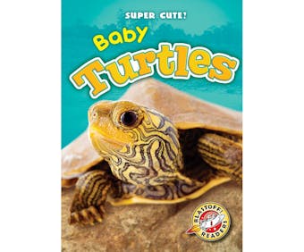 Baby Turtles: Blastoff! Readers: Level 1 - undefined