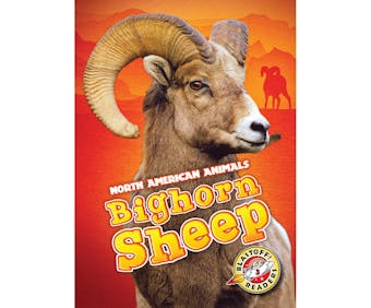 Bighorn Sheep: Blastoff! Readers: Level 3 - undefined