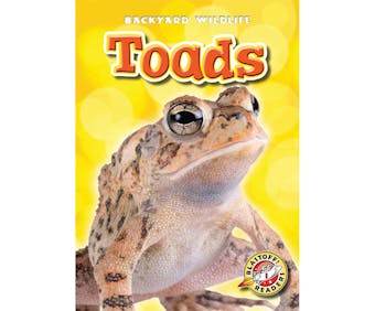 Toads - undefined