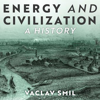 Energy and Civilization: A History - Vaclav Smil