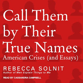 Call Them By Their True Names: American Crises (and Essays)