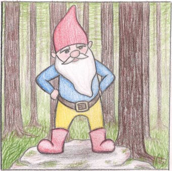 Nathan the Forest Gnome - undefined