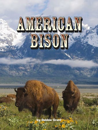 American Bison: Voices Leveled Library Readers - undefined
