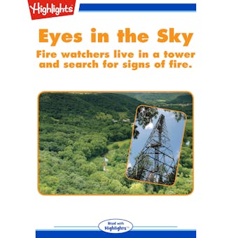 Eyes in the Sky - Heather Bode