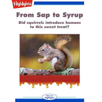 From Sap to Syrup - undefined