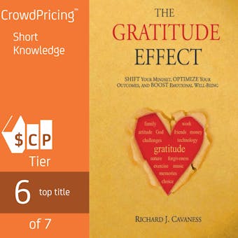 The Gratitude Effect: Shift your mindset, Optimize your outcomes, Boost emotional well being
