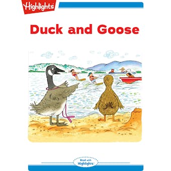 Duck and Goose - undefined