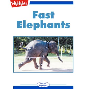 Fast Elephants - undefined