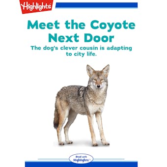 Meet the Coyote Next Door - Andy Boyles