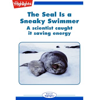 The Seal is a Sneaky Swimmer: A scientist caught it saving energy