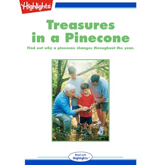 Treasures in a Pinecone