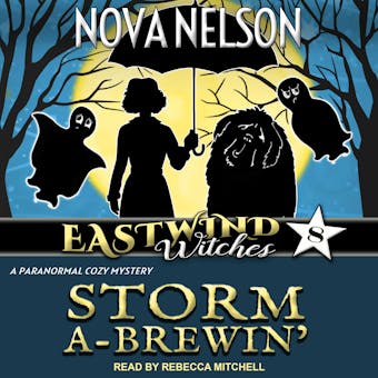 Storm a-Brewin': A Paranormal Cozy Mystery - undefined