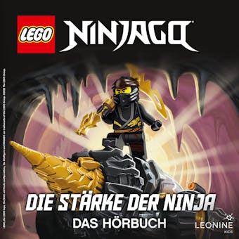 Die Stärke der Ninja (Band 10) - Meredith Rusu