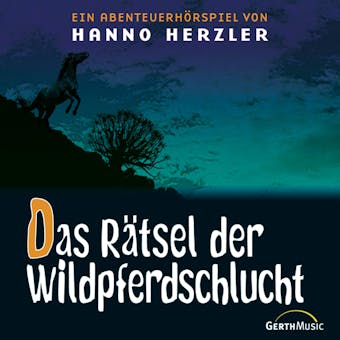 13: Das RÃ¤tsel der Wildpferdeschlucht - Hanno Herzler