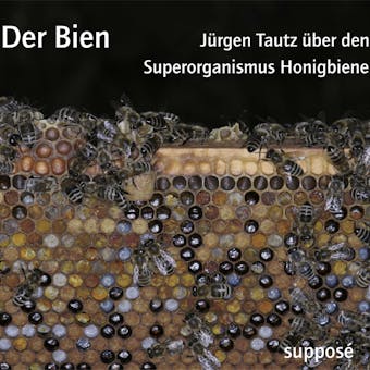 Der Bien: JÃ¼rgen Tautz Ã¼ber den Superorganismus Honigbiene - JÃ¼rgen Tautz, Klaus Sander