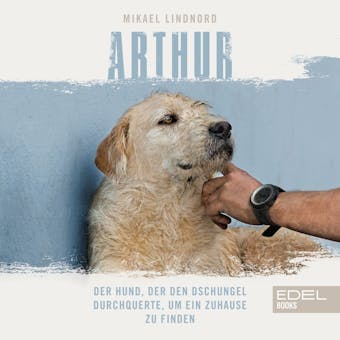 Arthur: Der Hund, der den Dschungel durchquerte, um ein Zuhause zu finden - undefined