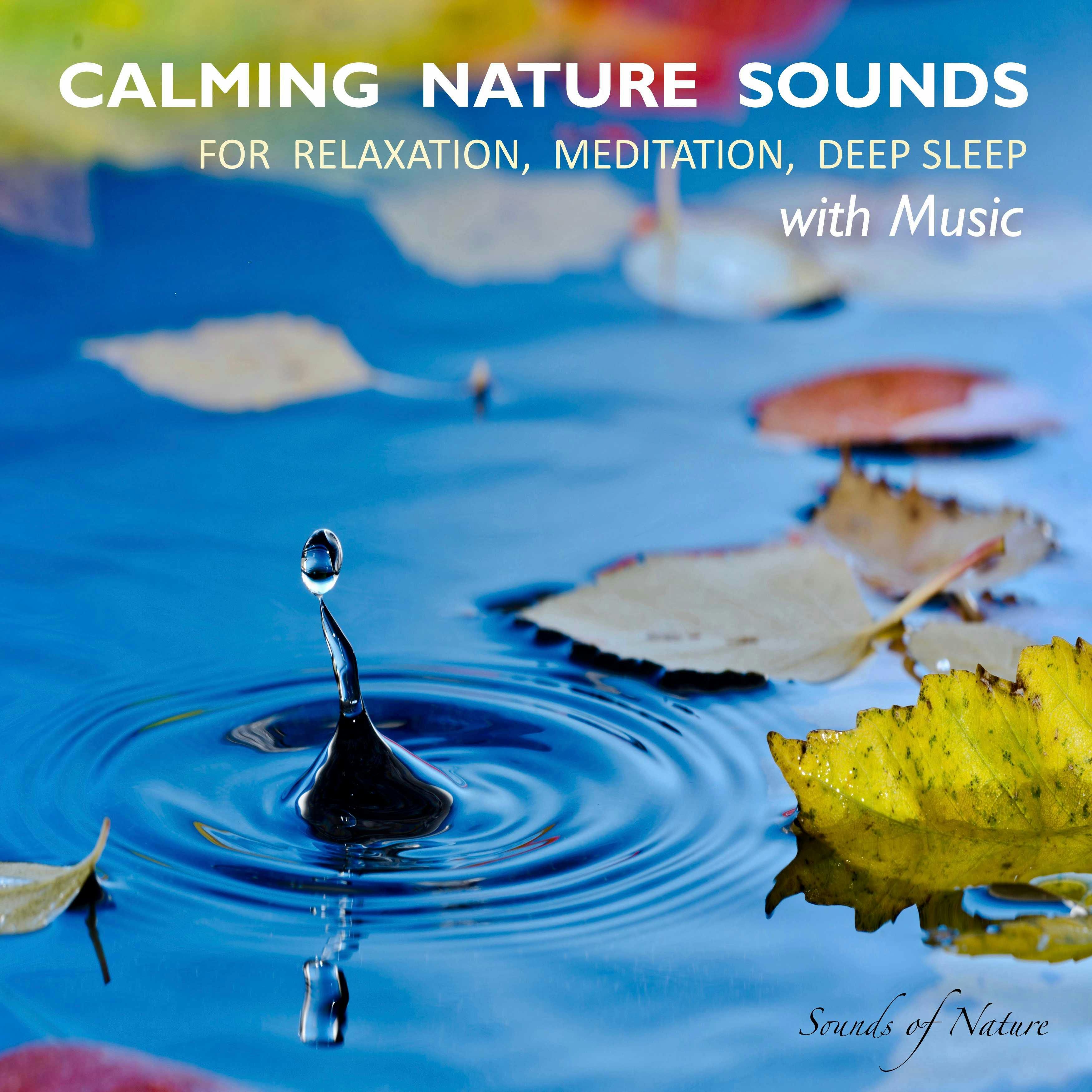 Nature Sounds With Music： for Deep Sleep Meditatio Rest＆RelaxNatureArtistSeries0801069006824