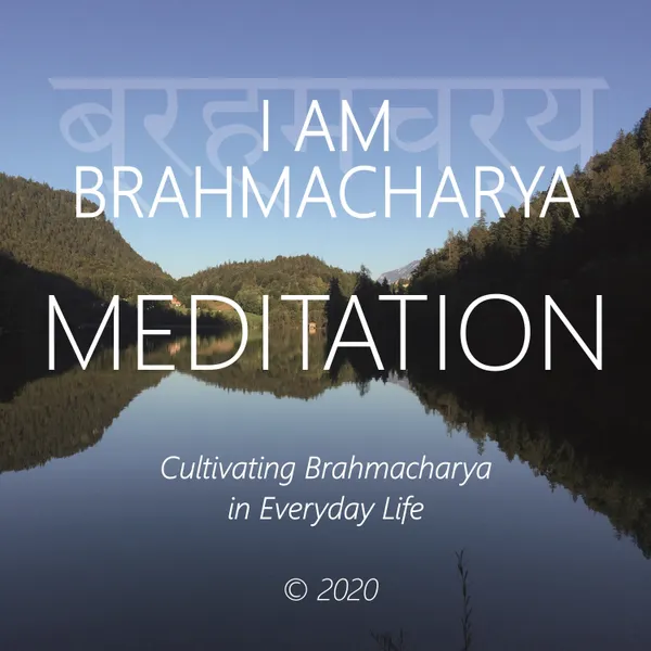 I Am Brahmacharya : Cultivating Brahmacharya in Everyday Life