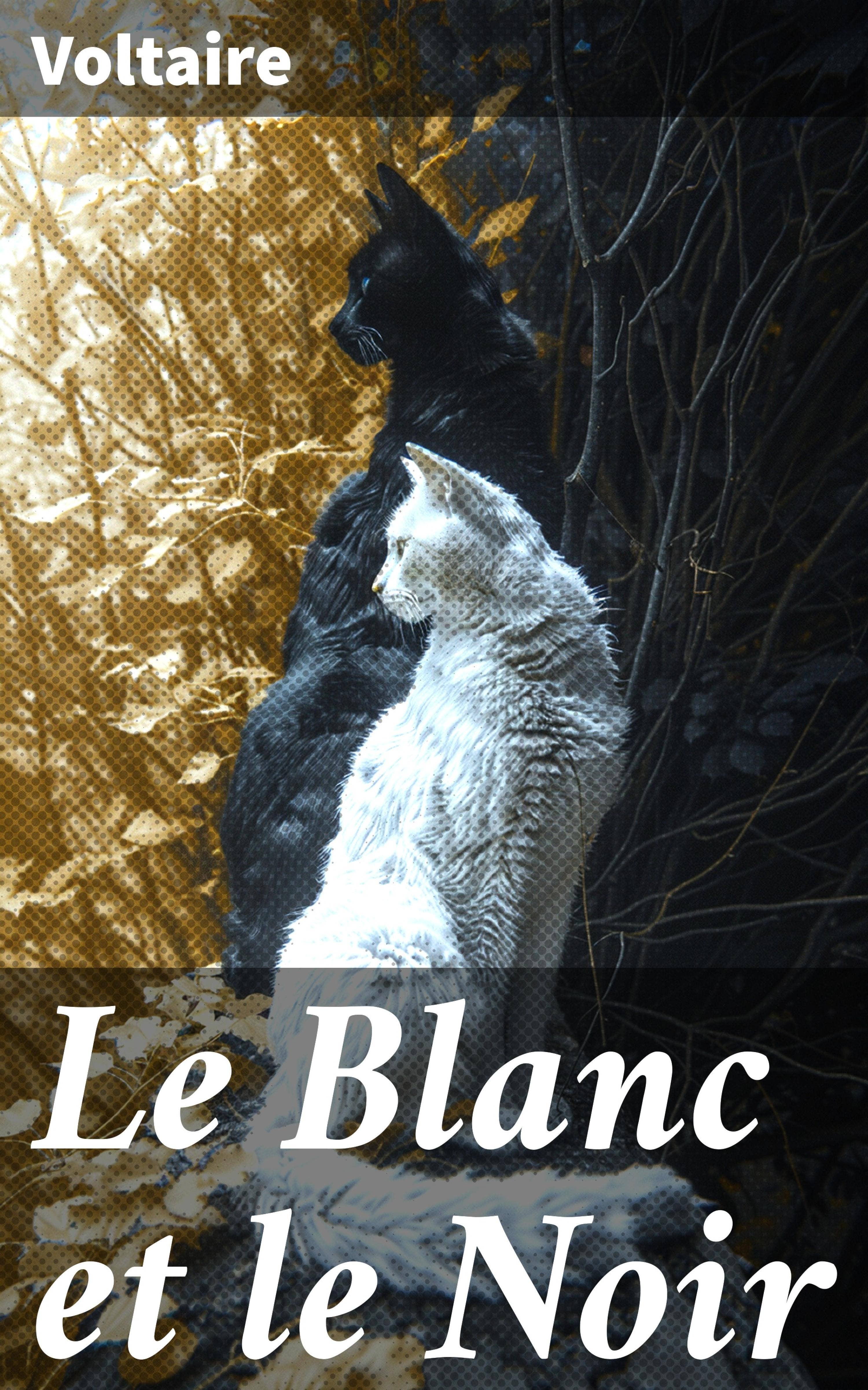 Le  Blanc et le Noir : Exploration de la dualité et de la nature humaine dans la France des Lumières