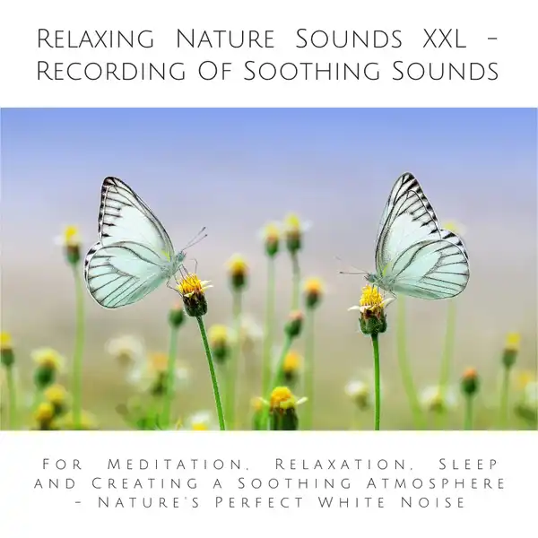 Relaxing Nature Sounds (without music) - Recording Of Soothing Nature Sounds : For Meditation, Relaxation, Sleep and Creating a Soothing Atmosphere - Nature's Perfect White Noise
