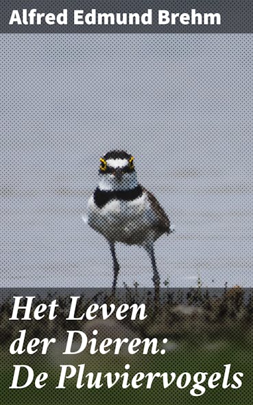 Het Leven Der Dieren: De Pluviervogels