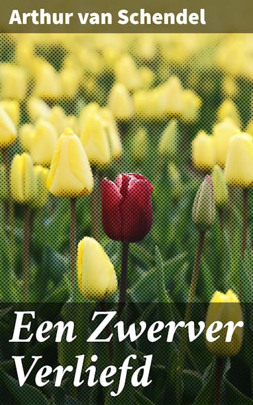 Een Zwerver Verliefd : Een Poëtische Reis Door Verlangen En Emoties