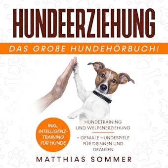 Hundeerziehung: Hundetraining und Welpenerziehung inkl. Intelligenztraining fÃ¼r Hunde + geniale Hundespiele fÃ¼r Drinnen und DrauÃŸen - Matthias Sommer