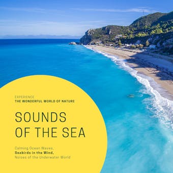 Sounds Of The Sea: Calming Ocean Waves, Seabirds in the Wind, Noises of the Underwater World: Experience the wonderful world of nature (Premium-Bundle) - undefined
