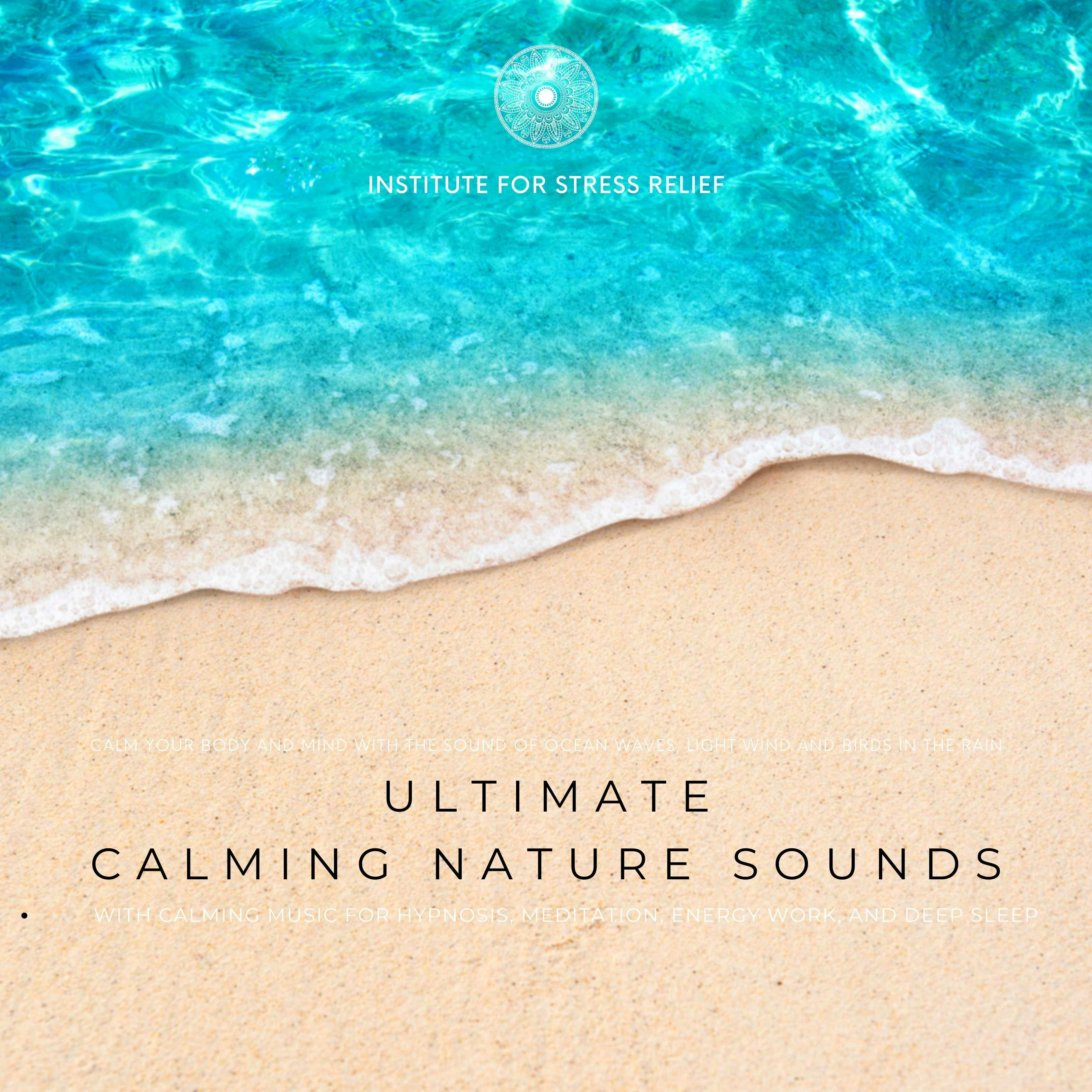 Soothing River: Nature Sounds for Sleep