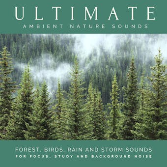 Ultimate Ambient Nature Sounds (XXL Bundle): Forest, Birds, Lake Shore, Mountain Stream, Rain and Storm Sounds for Focus, Study and Background Noise - undefined
