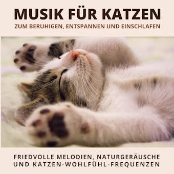 Musik fÃ¼r Katzen zum Beruhigen, Entspannen und Einschlafen: Friedvolle Melodien, sanfte NaturgerÃ¤usche und WohlfÃ¼hl-Frequenzen - Verein der Katzenfreunde