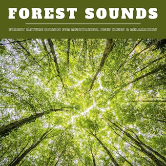 Forest Sounds: Forest Nature Sounds for Meditation, Deep Sleep & Relaxation (XXL Bundle)