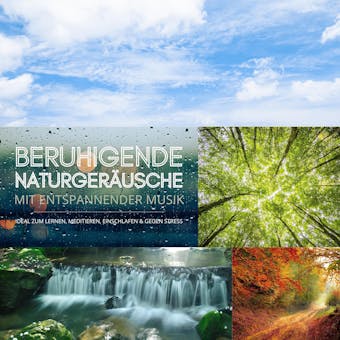 Beruhigende Naturgeräusche mit entspannender Musik (XXL-Bundle): Ideal zum Lernen, Meditieren, Einschlafen & gegen Stress - Klangwerkstatt für Entspannungsmusik