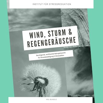 Wind, Sturm & Regengeräusche: Beruhigende, wohltuende Naturgeräusche für Stressbewältigung & Stressabbau: Über 9 Stunden mit und ohne Musik zum Entspannen, Einschlafen, Meditieren (XXL-Bundle) - Institut für Stressabbau