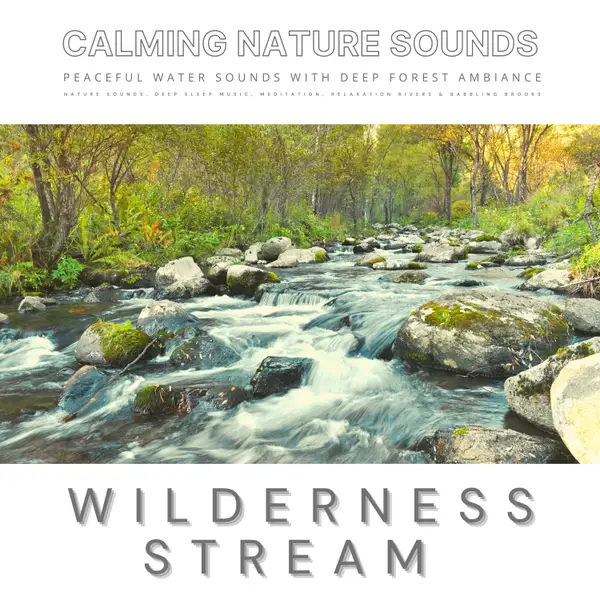 Peaceful Water Sounds With Deep Forest Ambiance: Wilderness Stream & Babbling Brook : The Sound Healing Collection: Calming Nature Sounds, Deep Sleep Sounds. Meditation Sounds, Relaxation Sounds & Babbling Brooks