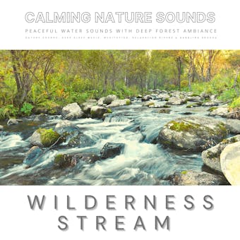 Peaceful Water Sounds With Deep Forest Ambiance: Wilderness Stream & Babbling Brook: The Sound Healing Collection: Calming Nature Sounds, Deep Sleep Sounds. Meditation Sounds, Relaxation Sounds & Babbling Brooks - undefined
