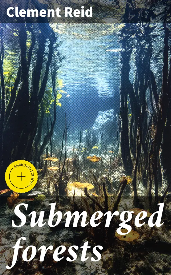 Submerged forests : Enriched edition. Exploring Ancient Submerged Landscapes: Insights into History, Science, and Climate Change