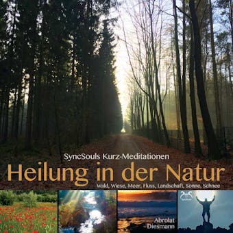 Heilung in der Natur - SyncSouls Kurzmeditationen: Wald, Wiese, Meer, Fluss, Landschaft, Sonne, Schnee - Torsten Abrolat, Franziska Diesmann