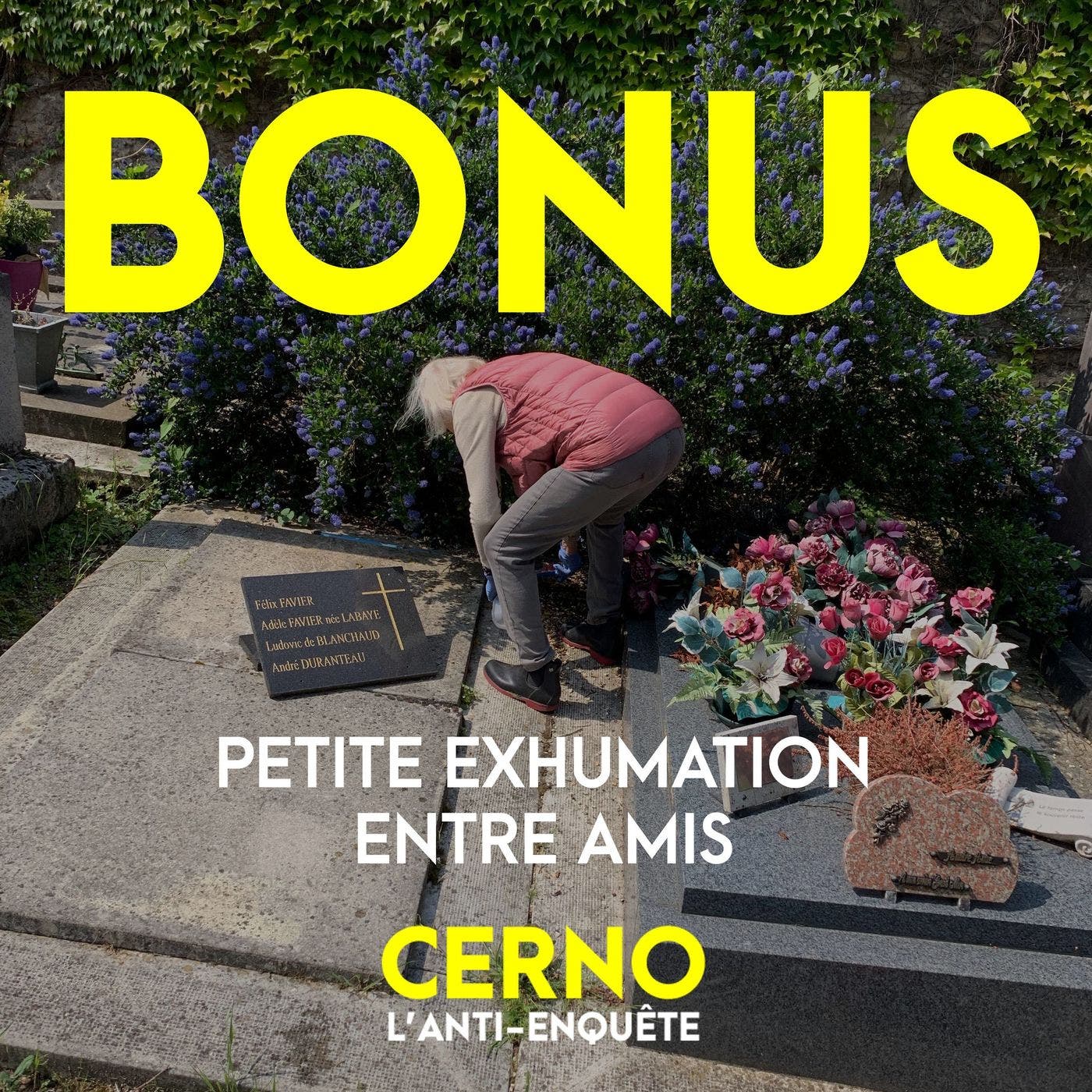 BONUS 1 : Petite exhumation entre amis (Saison 1)
