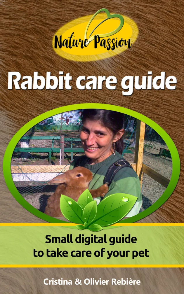 Rabbit Care Guide Example Rabbit care guide : Small digital guide to take care of your pet – E ...