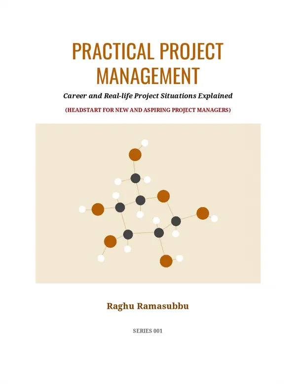 Practical Project Management