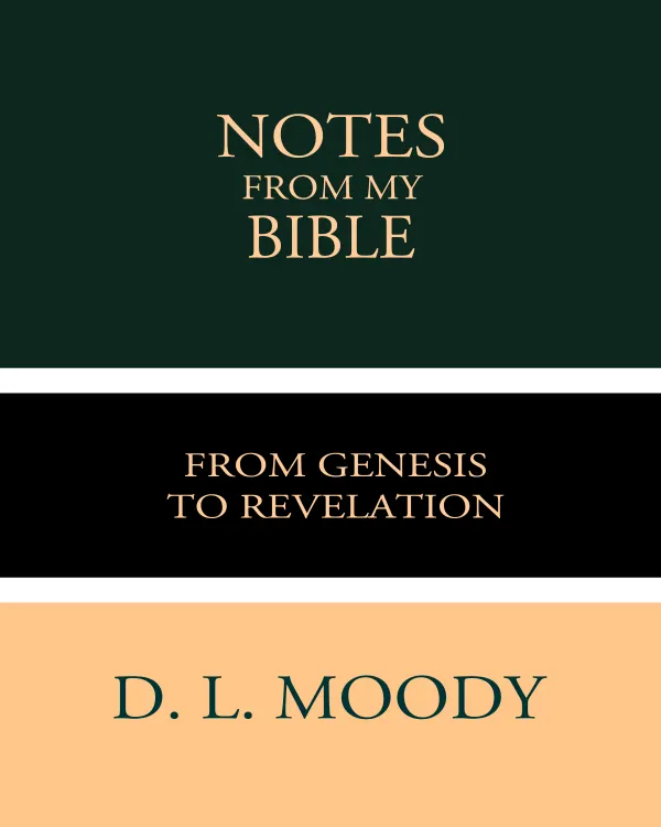 Notes from My Bible