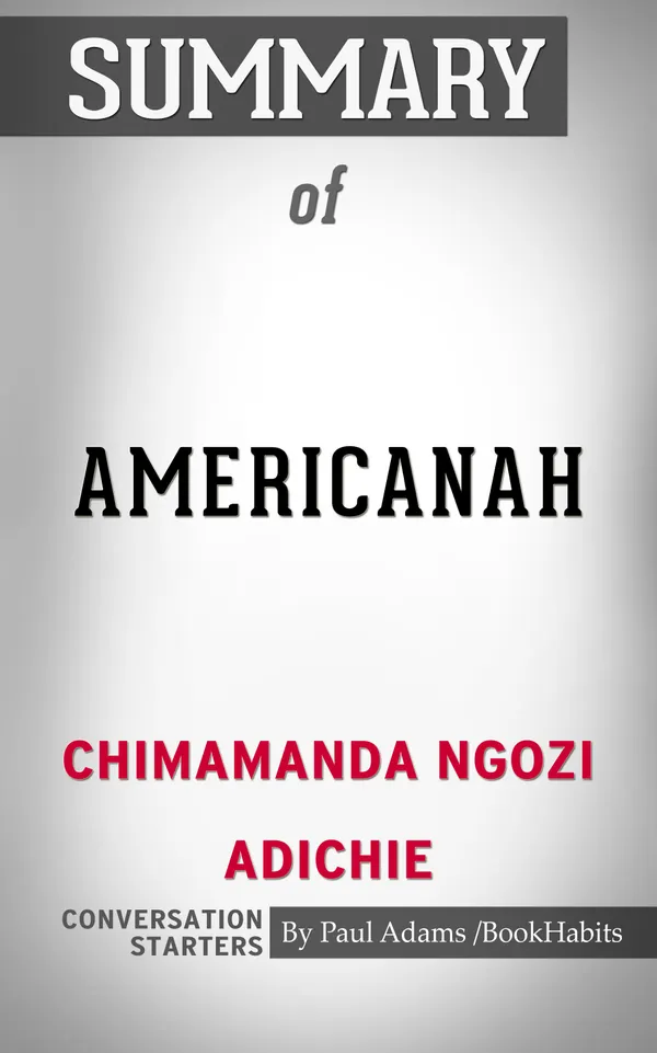Summary of Americanah
