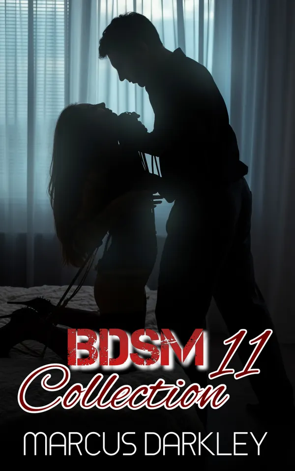 BDSM Collection 11