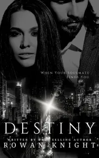 Destiny : When Your Soulmate Finds You